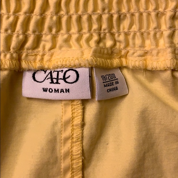 Yellow jacket - Picture 3 of 3